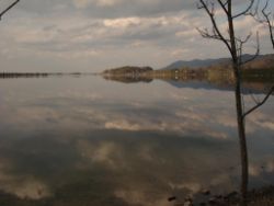 2014-04-12_Kochel-WFall_Kraeuter (303).JPG